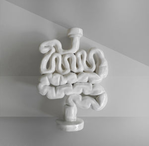 Candelabro Intestino